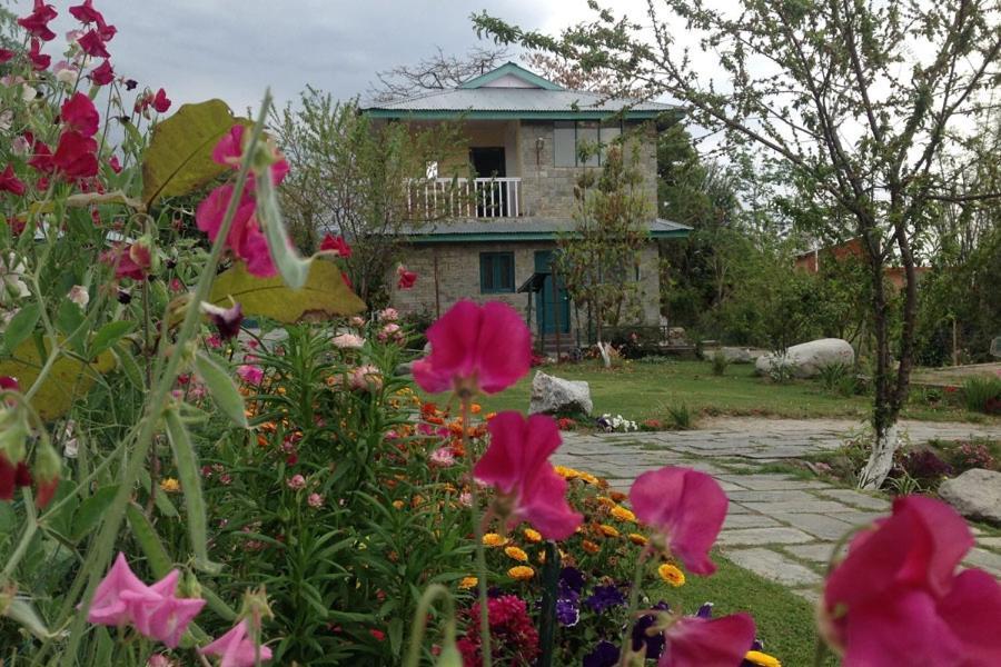 Nagri Resort Pālampur 外观 照片