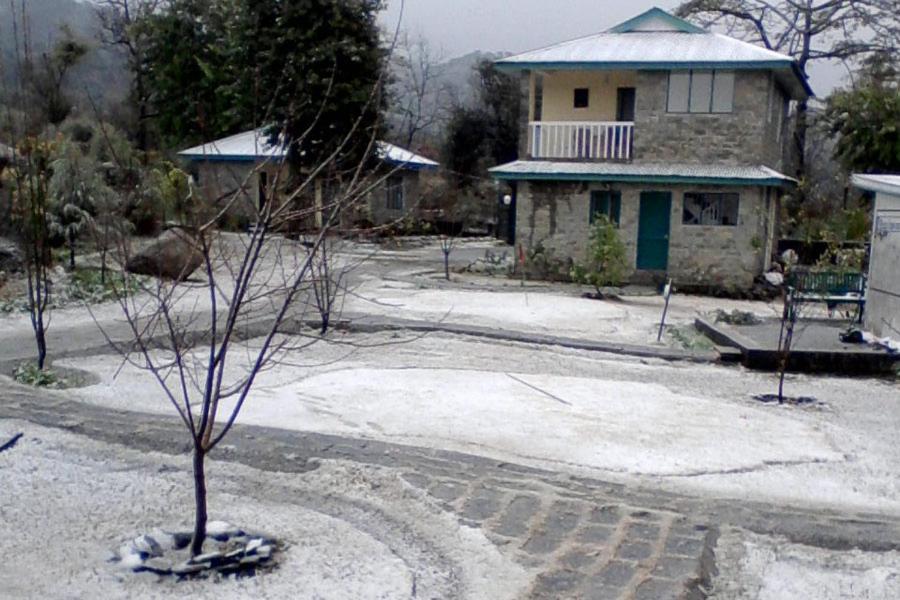 Nagri Resort Pālampur 外观 照片