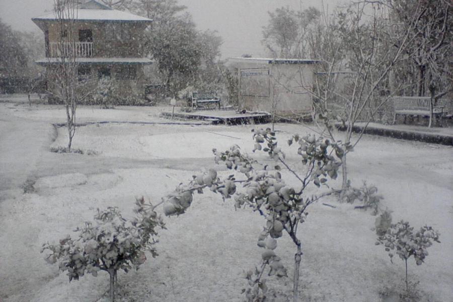 Nagri Resort Pālampur 外观 照片