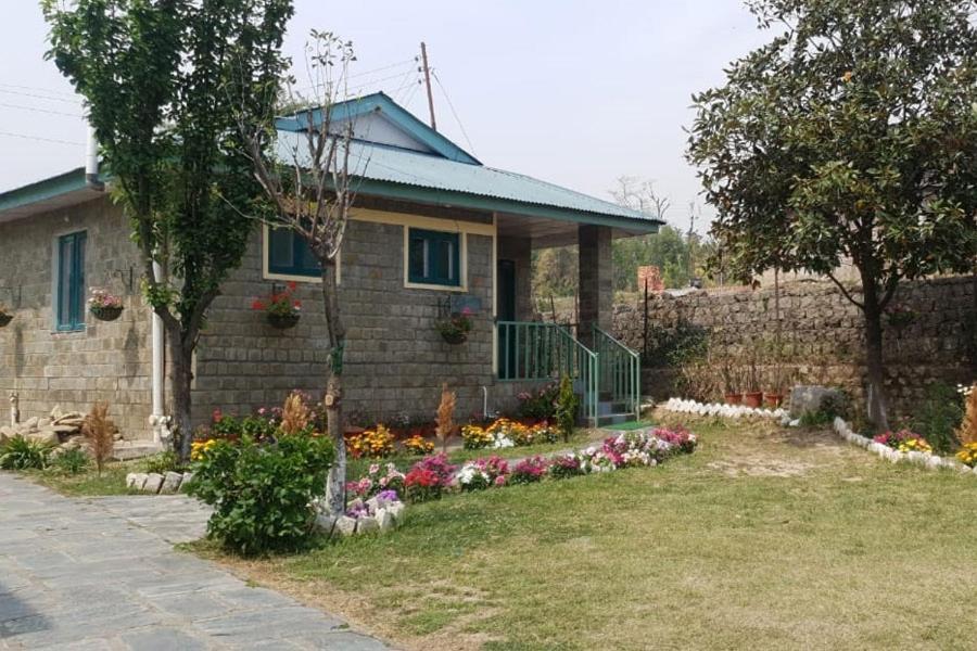 Nagri Resort Pālampur 外观 照片