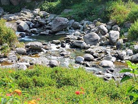 Nagri Resort Pālampur 外观 照片